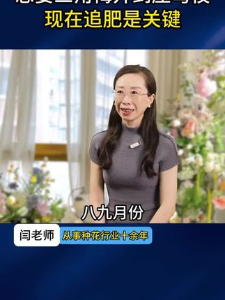养花不开花,可以直接用它很快花开爆满盆!