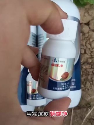 蜗螺净 庭院蔬菜果树花卉大田作物都可以用,蜗牛福寿螺蛞蝓通用剂。#蜗牛克星 #虫害防治 #三农种植 #我的菜园子