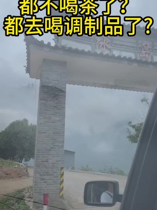 【云南正宗冰岛五寨生茶龙珠】到手4斤 茶农直销,正宗冰岛古树茶,古树普洱