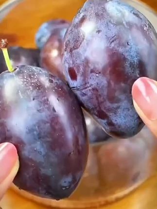 一年只能吃十几天的蓝蜜西梅成熟了,硬吃脆甜软吃直接爆汁,真的不要太好吃 快来尝尝吧